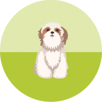 Adopcje i Sprzedaż Zwierząt